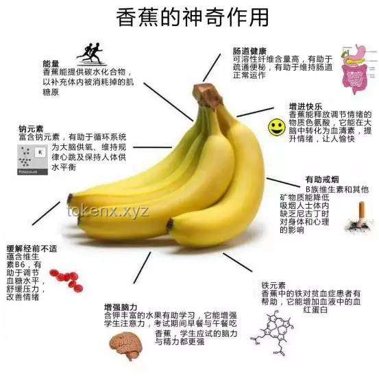 郑钦文效应下的香蕉奶市场：奶声奶气中的新趋势与机遇